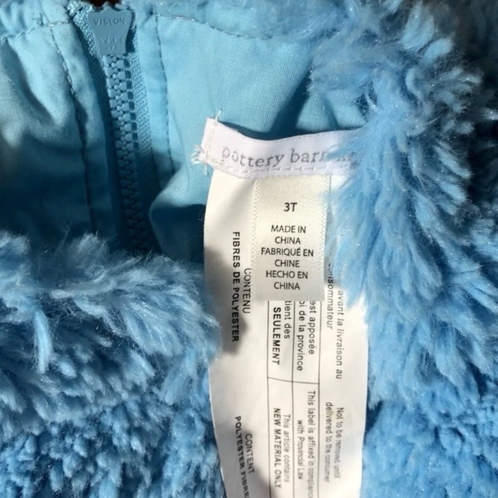 Pottery Barn kids Cookie Monster costume - Picture 2 of 9